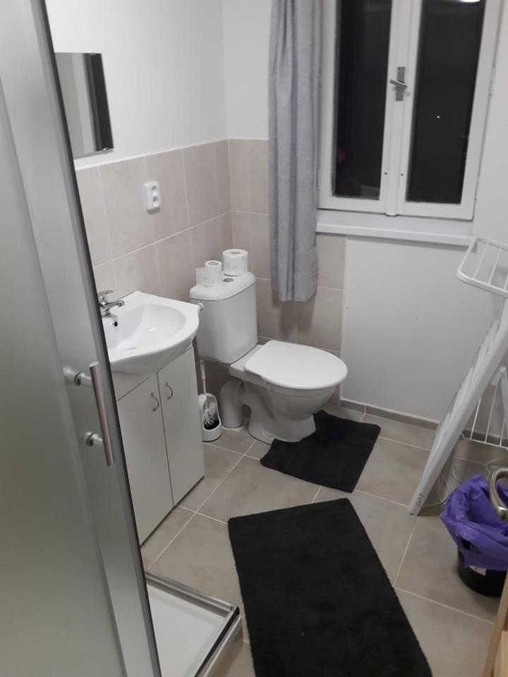 Apartman Pod Marianskou Horou Desná エクステリア 写真