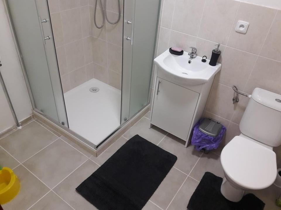 Apartman Pod Marianskou Horou Desná エクステリア 写真